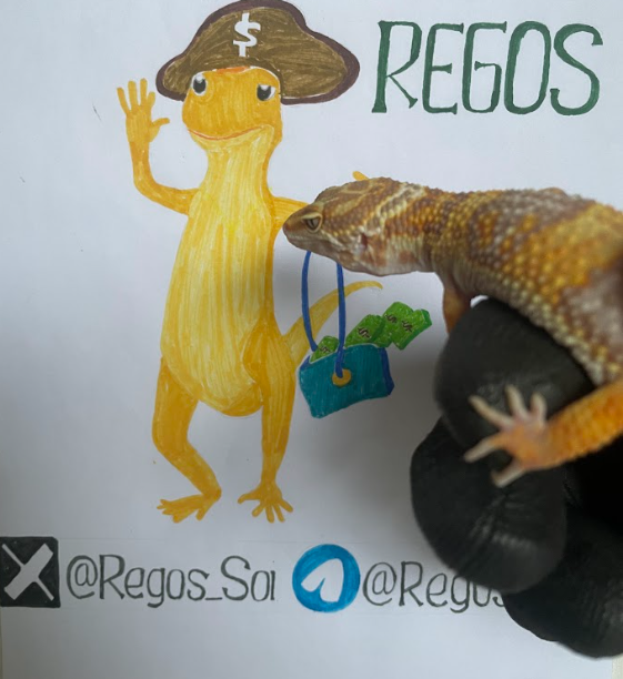 Regos_Sol's tweet photo. Geckos climb walls, but $REGOS is climbing charts. https://t.co/BCbbowB0c8