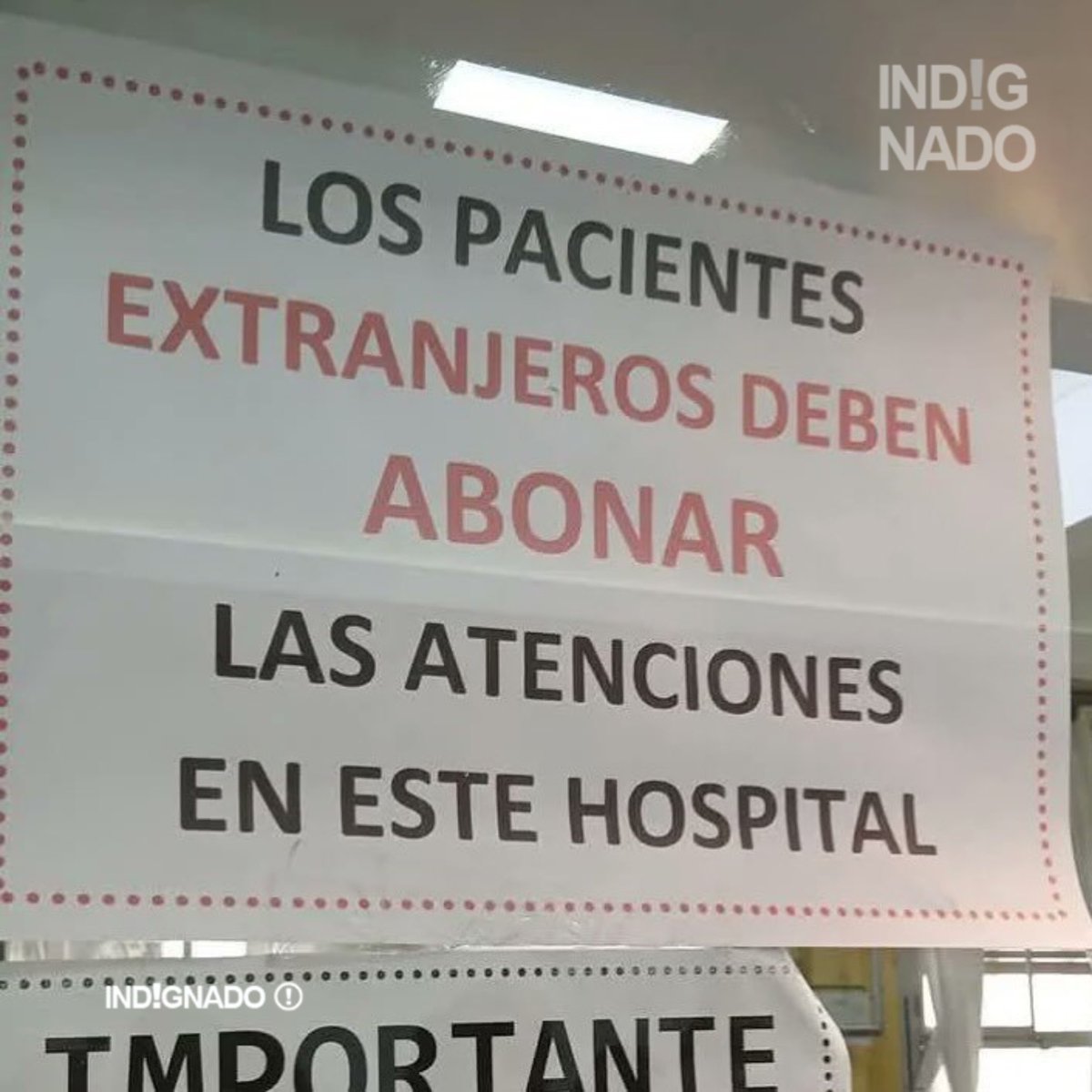 INDIGNADO tweet media