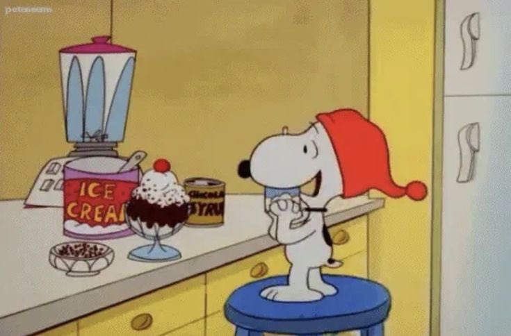 All my plans for the rest of the year look like this