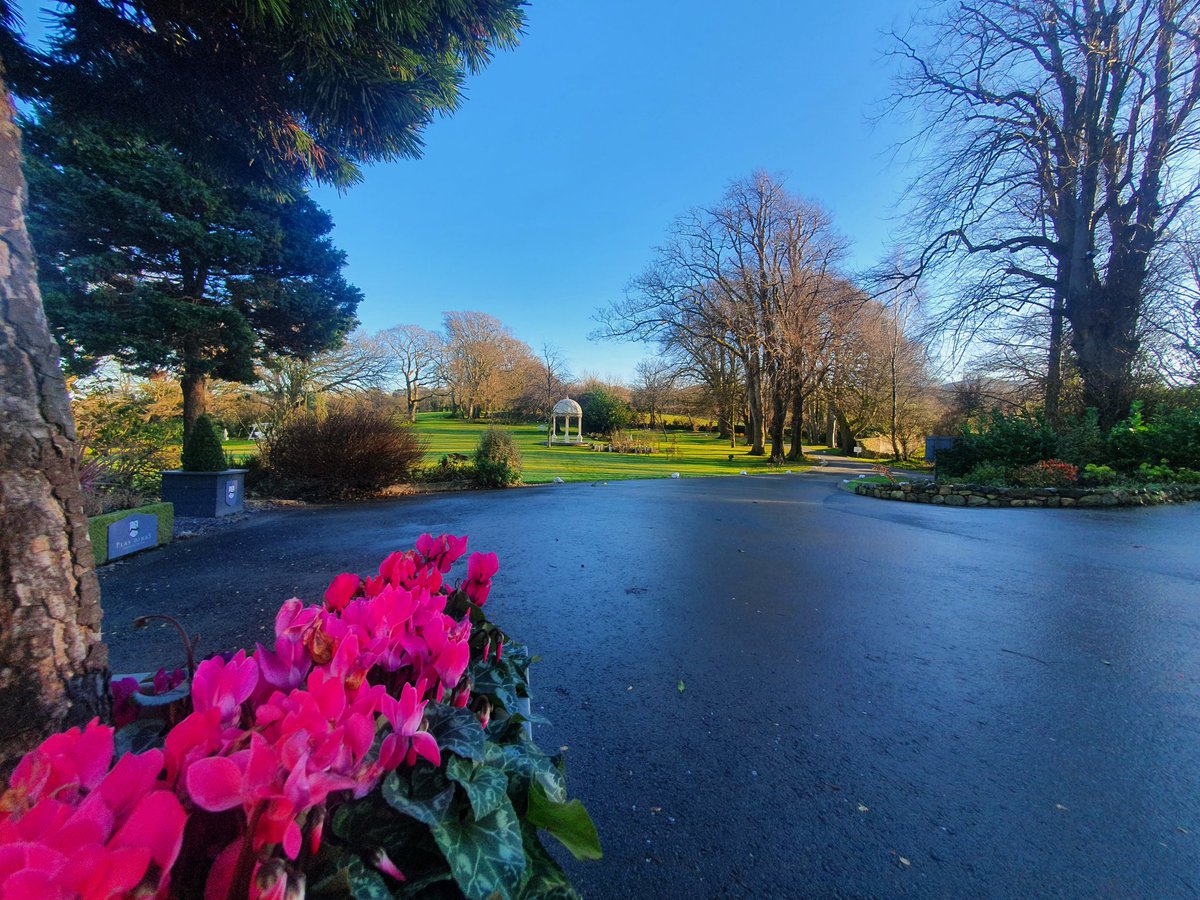 PlasDinas's tweet image. We have had such a beautiful day in North Wales today. #blueskies #wintersun #wales #countryhousehotel