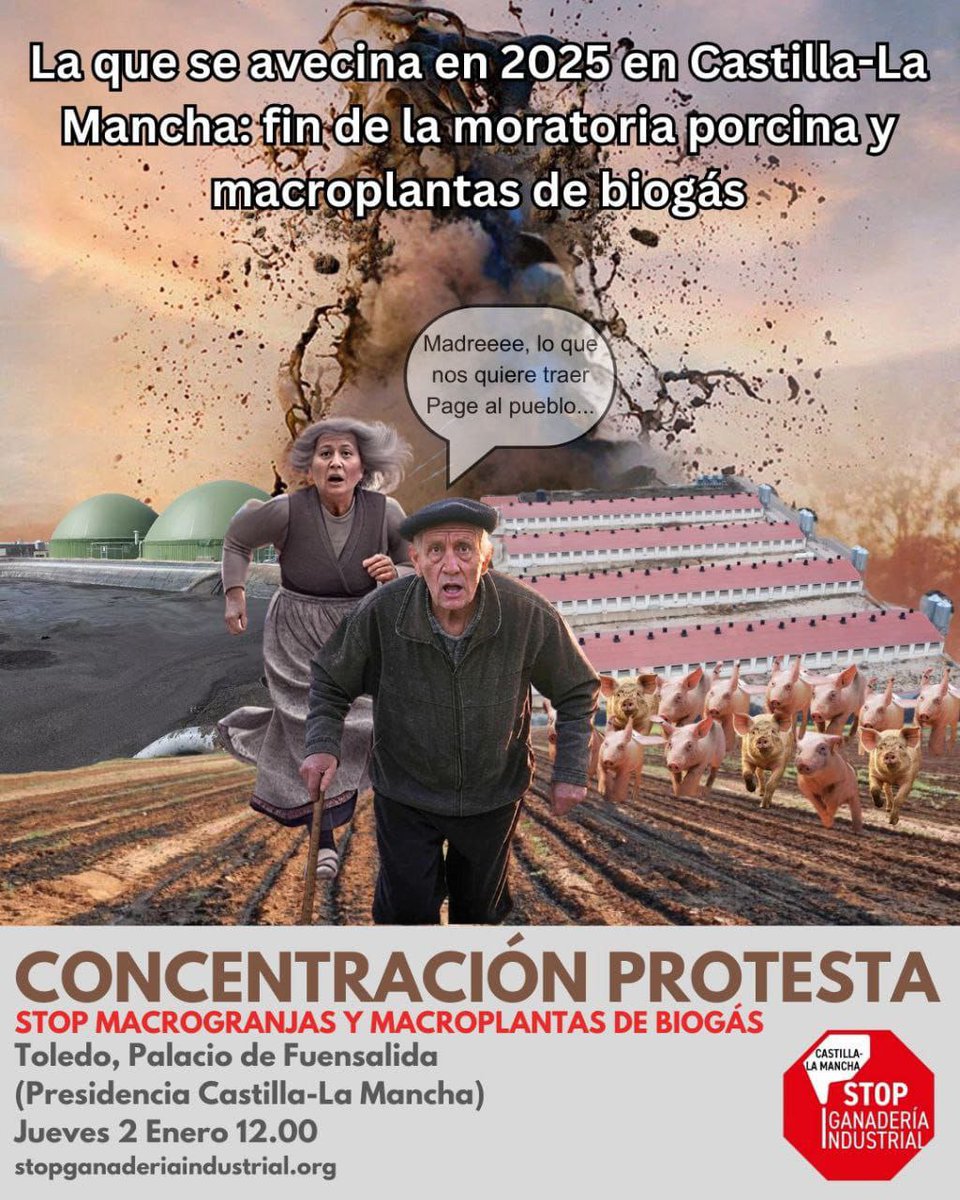 Verdes Equo Castilla-La Mancha tweet media
