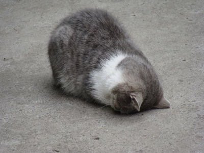 beyvrse's tweet photo. i’ve never gotten attention in my entire life https://t.co/BBRzjjM5ni