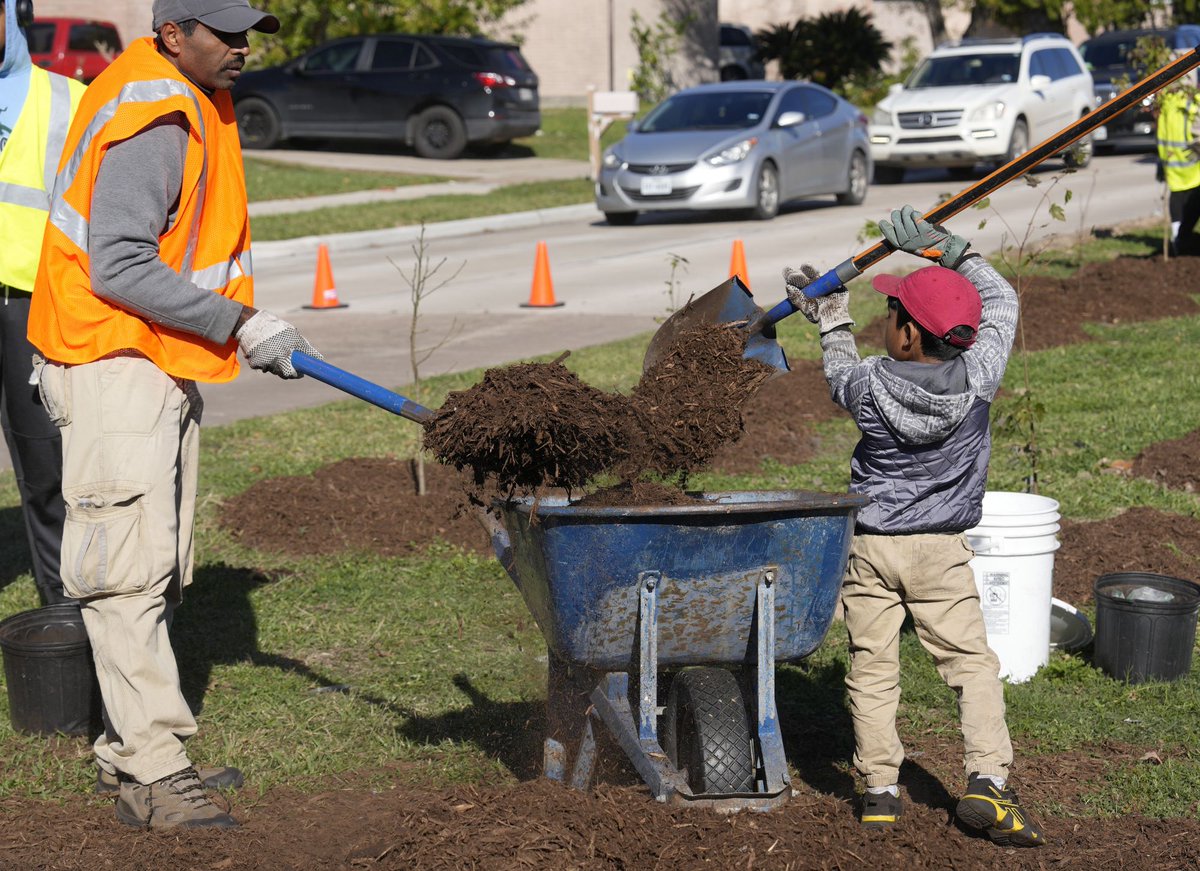 HARCresearch's tweet image. Sewa Intl. took a big step toward addressing #urbanheat challenges in our community by planting #trees in underserved neighborhoods. This initiative was informed by HARC’s #heatmapping data, which located areas experiencing the highest temperatures. See h3at.org 🌳