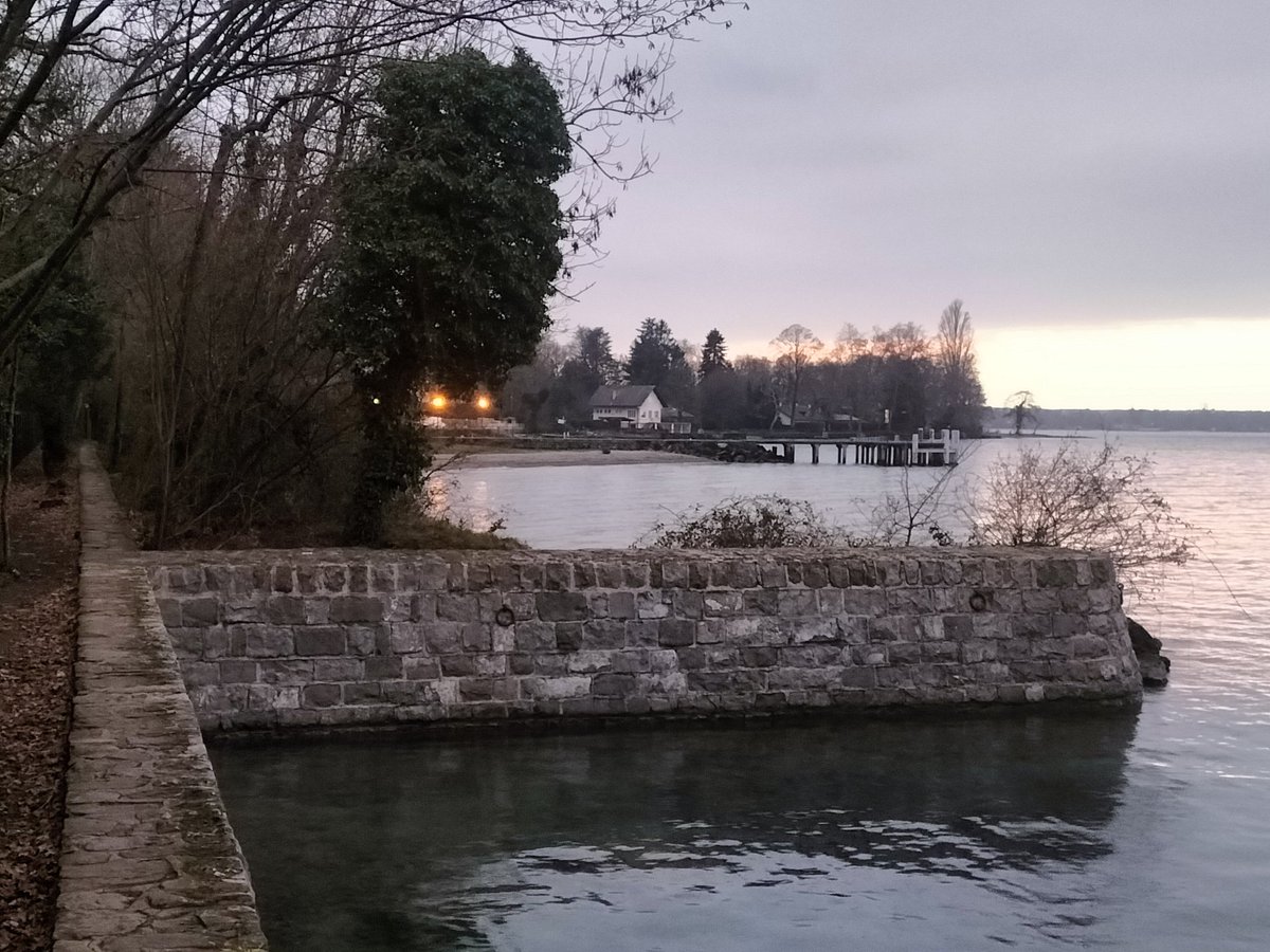 Au bord du lac 💦

#leman 🇨🇭🇫🇷