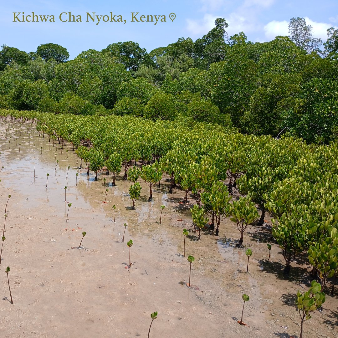 Eden: People+Planet tweet media