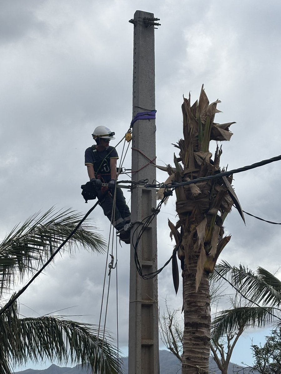 Cédric KAZMIERCZAK tweet media