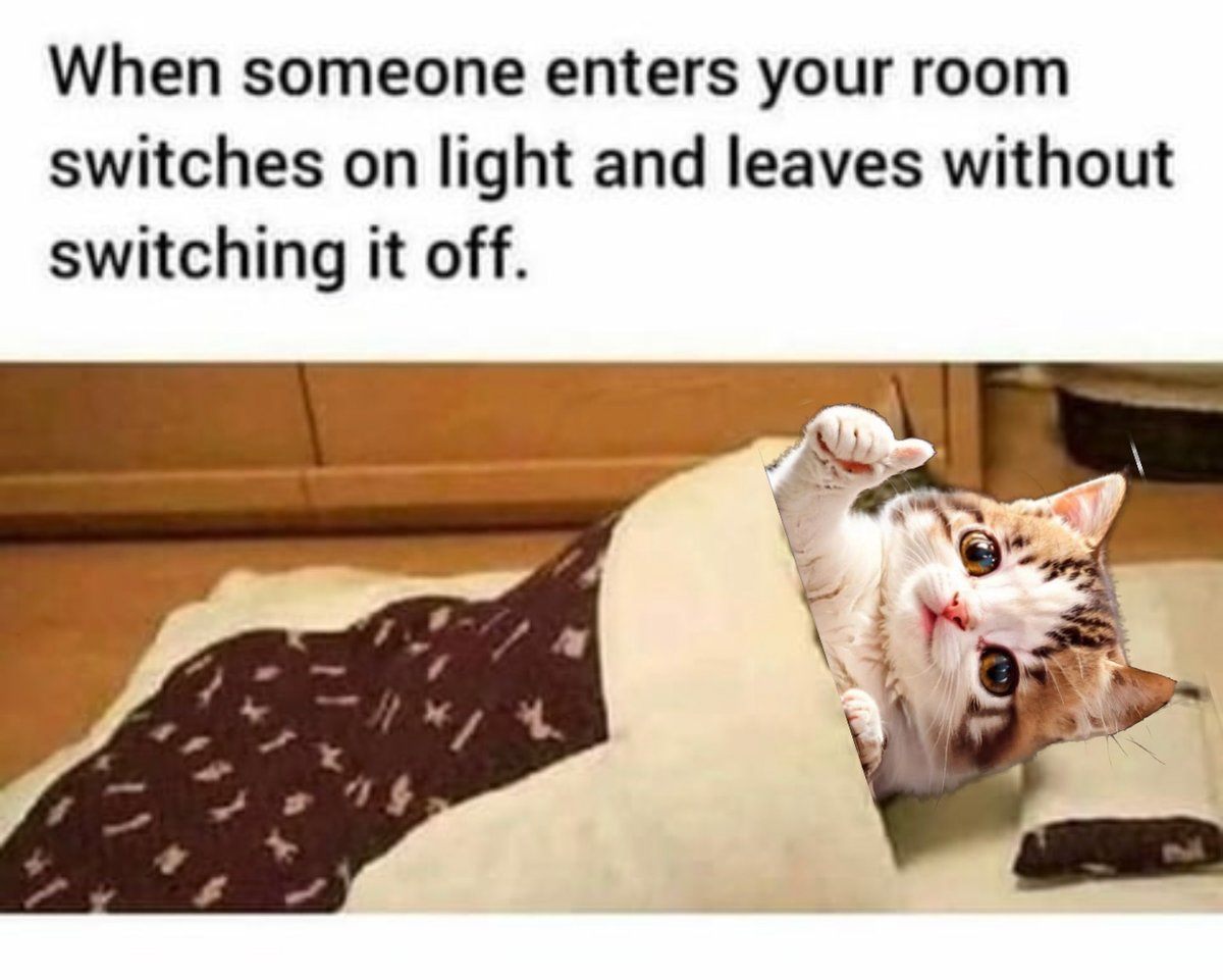 tumbcats (@tumbcats) on Twitter photo 