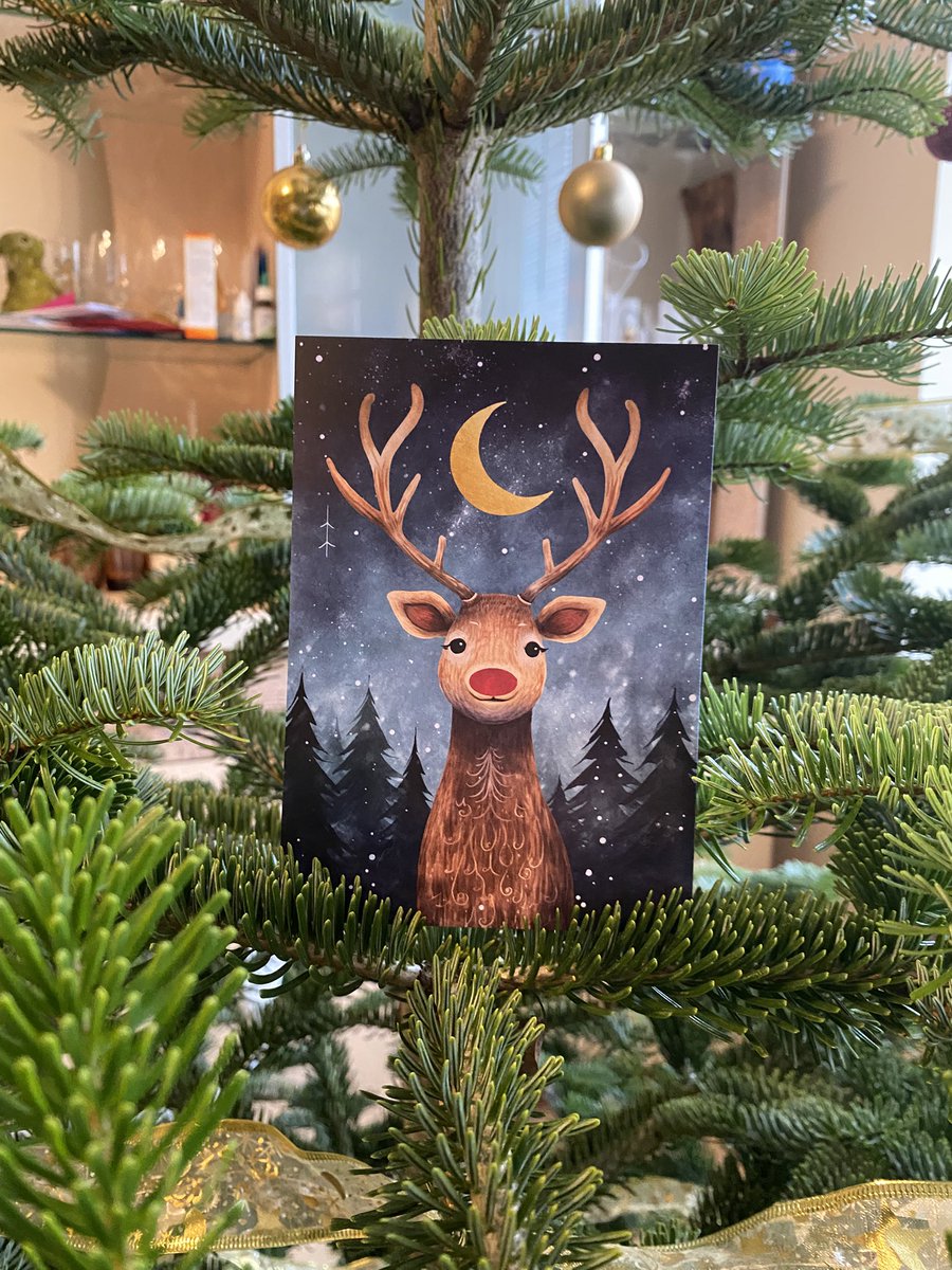 Vivita Dzērve tweet media