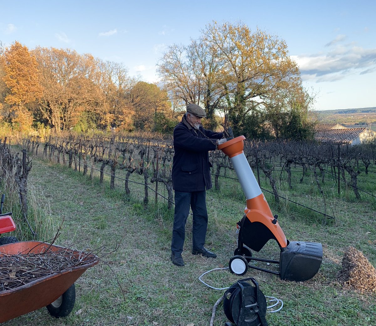 JMCambaceres's tweet photo. Après #Noël (le 25) et #SaintÉtienne (le 26) patron de #Lecques (30) mon village d’origine, il faut se remettre à la taille des vignes. Innovation: 1 broyeur pour sarments. Le produit ira enrichir naturellement l’humus. Cela s’inscrit dans notre démarche de culture bio-dynamique. https://t.co/m22arUJekE