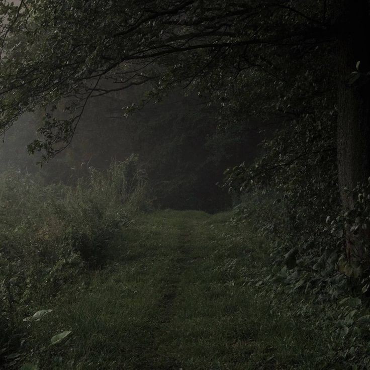 𝕰𝖑𝖊𝖒𝖒𝖎𝖗𝖊 tweet media