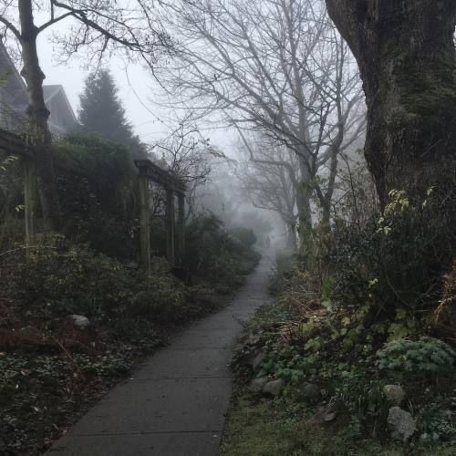 𝕰𝖑𝖊𝖒𝖒𝖎𝖗𝖊 tweet media