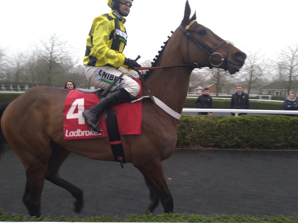 daredwards_abin's tweet photo. Constitution Hill was good but this fella was even better - some bold leaps but didn't put a hoof wrong. Could be the next superstar #sirgino https://t.co/R1ICPDAmyz