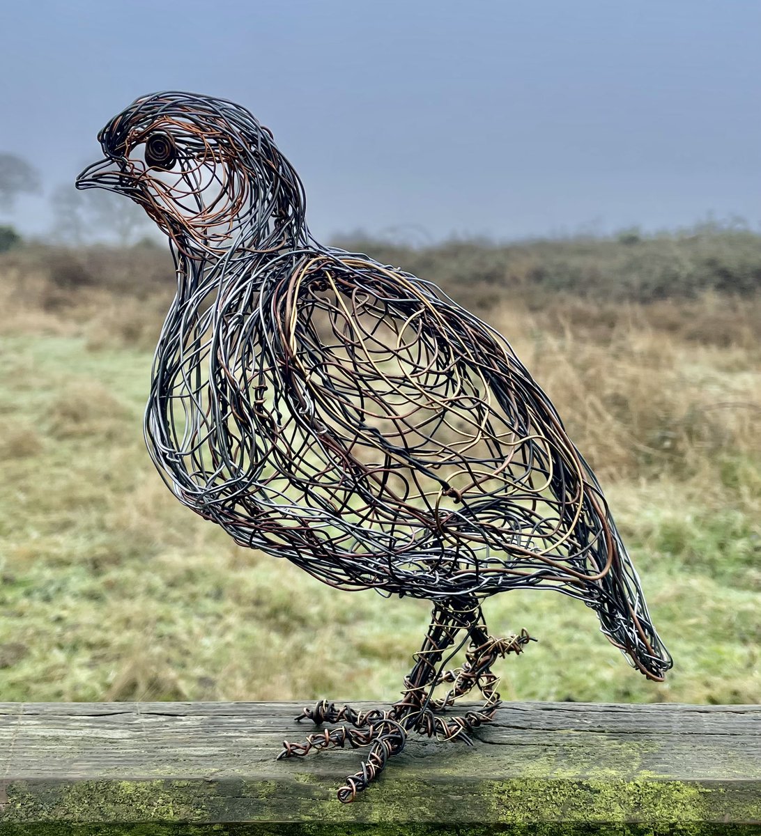 I’ve been working on this Partridge over Christmas and honestly the tenuous Festive link didn’t enter my head.Freehand Sculpted as always using various recycled Wires.  #greypartridge #birdartist #wireartist #freehand #wiresculpture