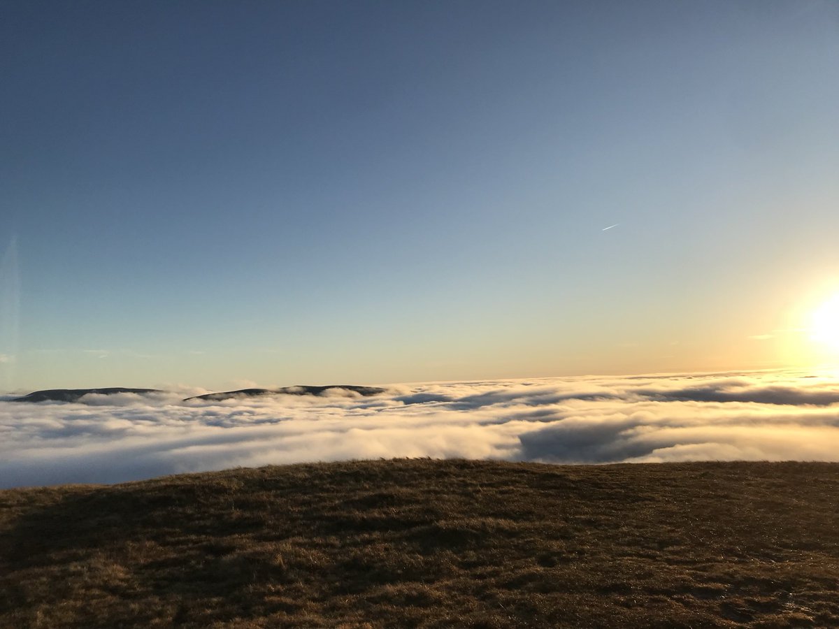 Andrew Sutherland tweet media