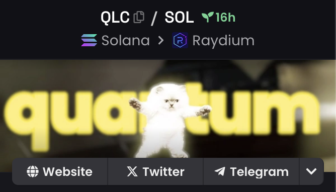Quantum Leap Cat tweet media