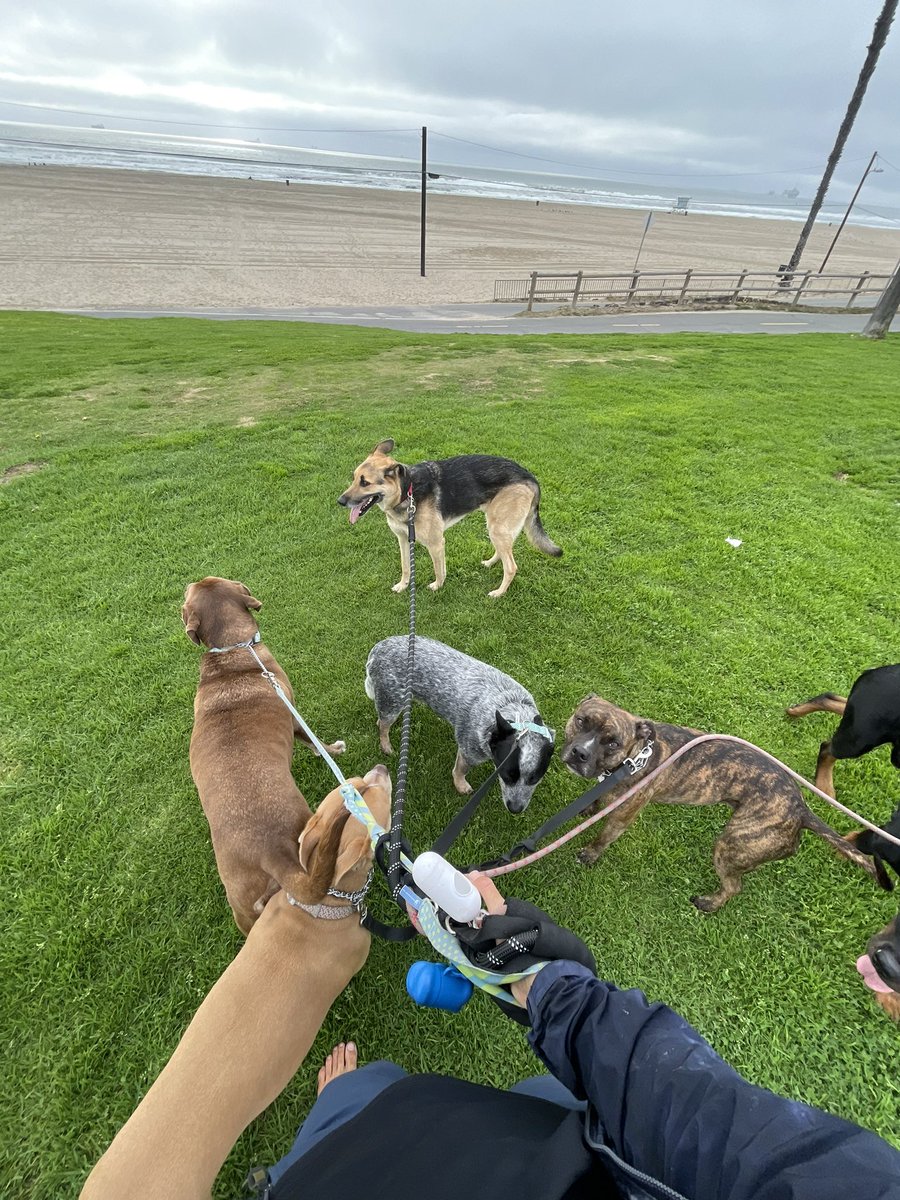 Luke 👁️‍🗨️✳️ tweet media