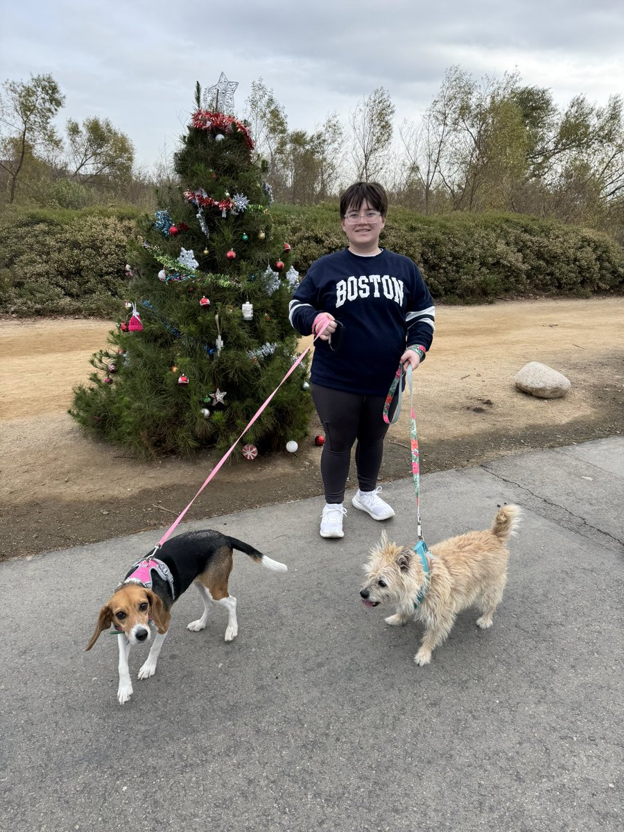 FinnleyHire's tweet photo. Hanging out in So Cal with my dogs over winter break. https://t.co/BUAlz2mxz9