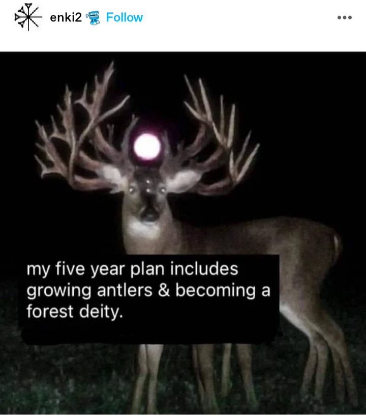 Arcade Outpost🛰 tweet media