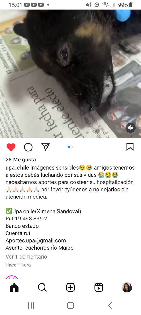 Katherin8782818's tweet image. #Chile #Luchando por sus vidas #RioMaipo Rt