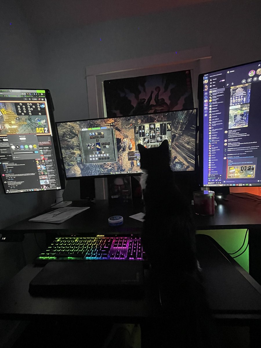 My little kitty loves PoE2 too lol