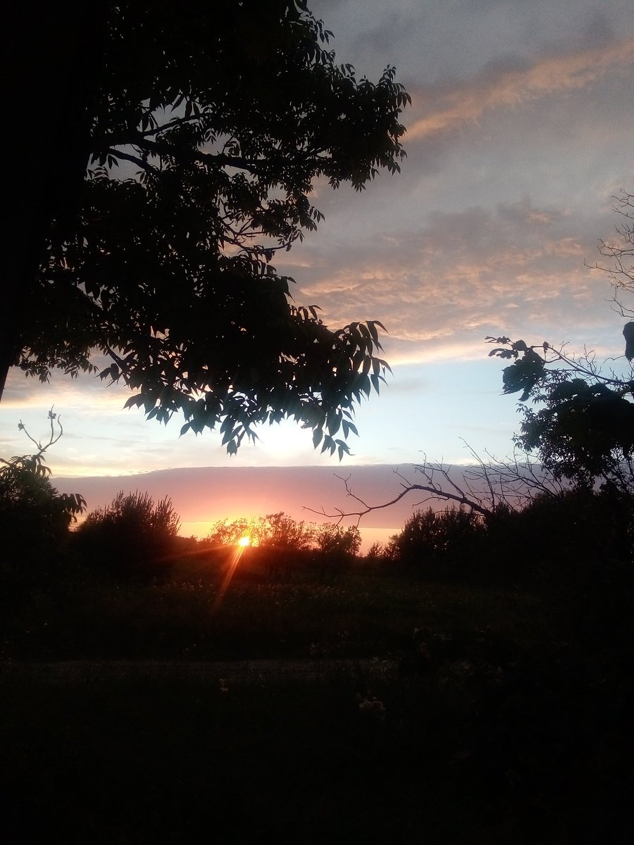 Angel89974832's tweet image. 