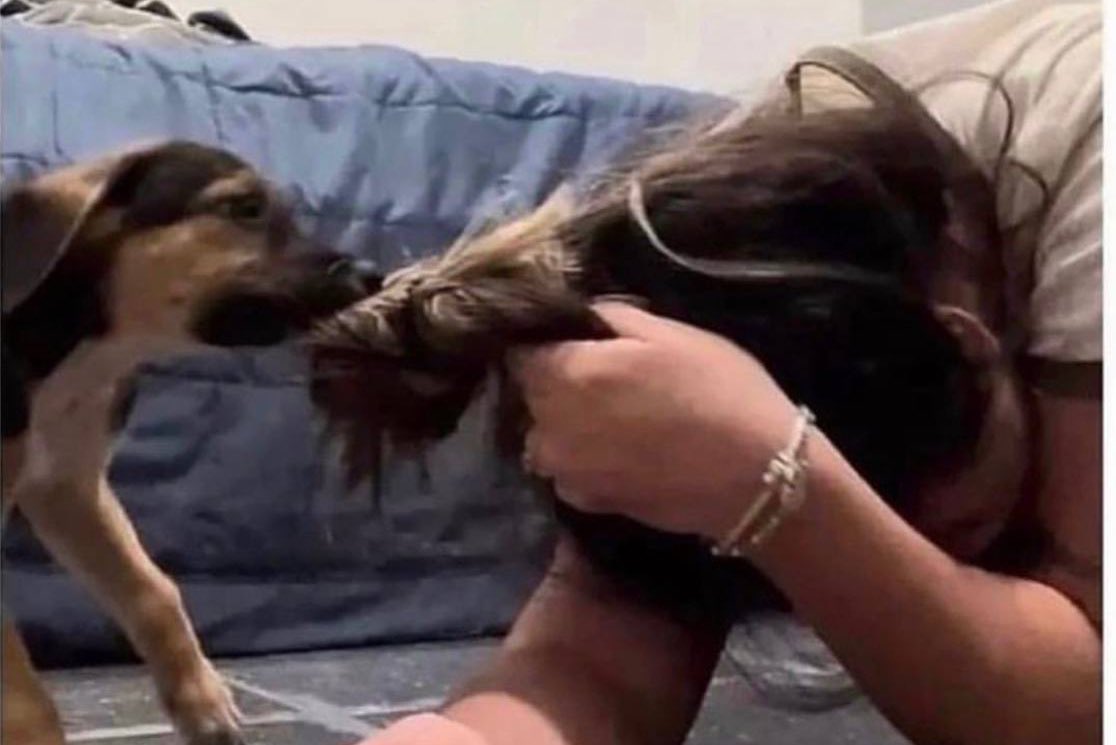 DiloConPerritos's tweet photo. “Los perritos ayudan a tener una mejor estabilidad emocional”

Mi perrito conmigo: https://t.co/PlzDEFtfN4