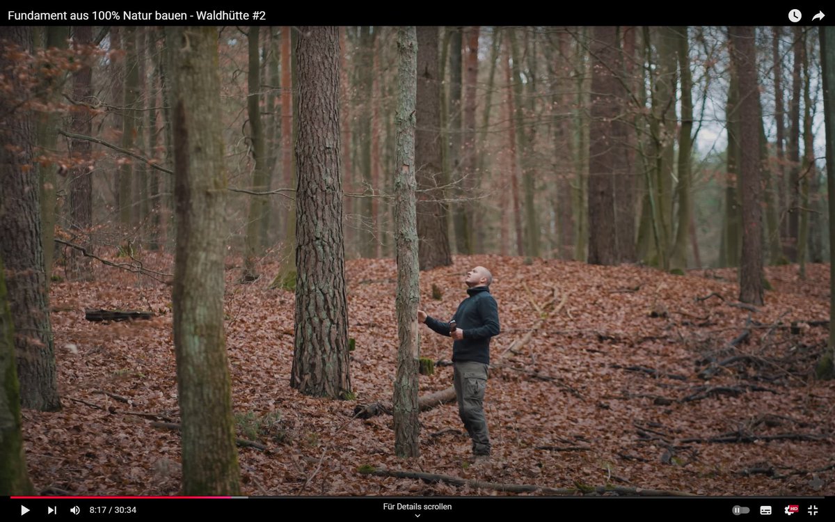 Janzimc live tweet media