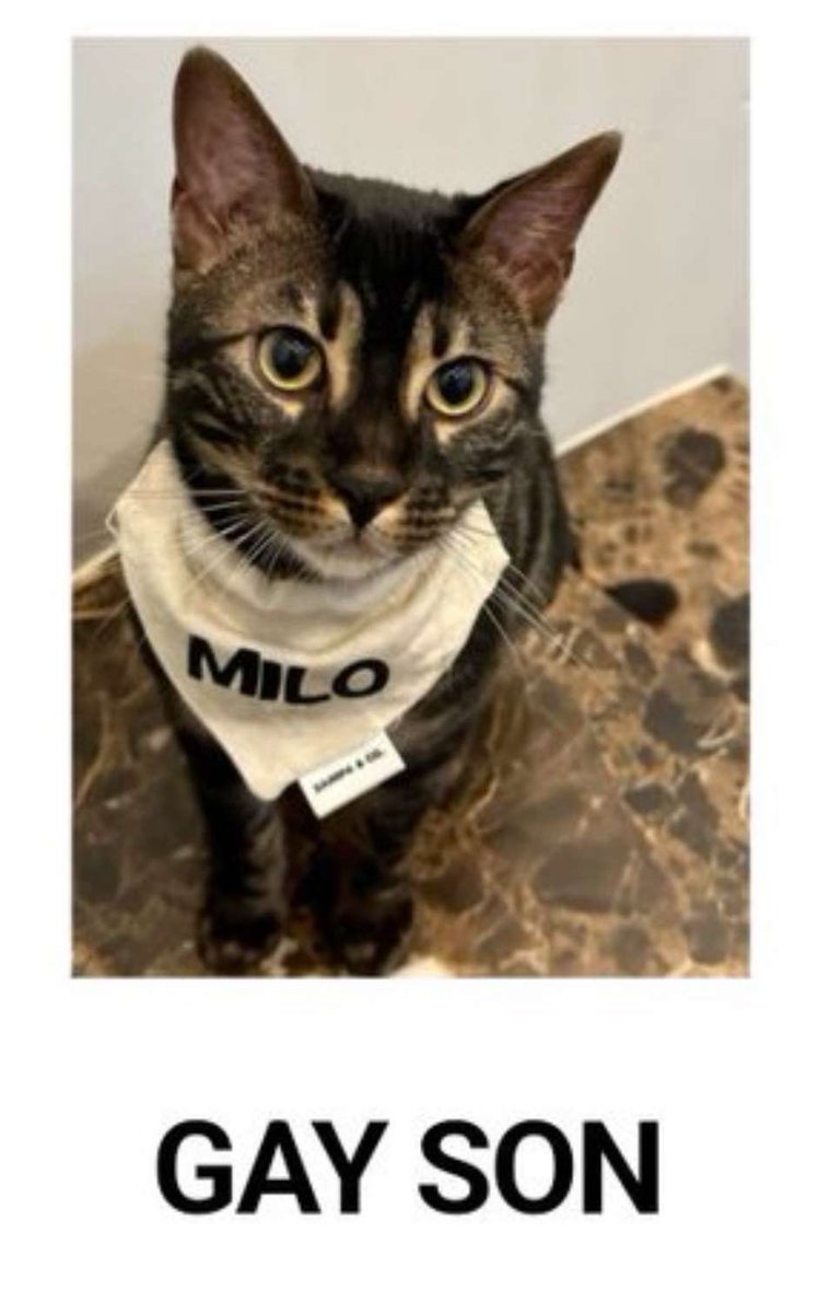 mi hijo