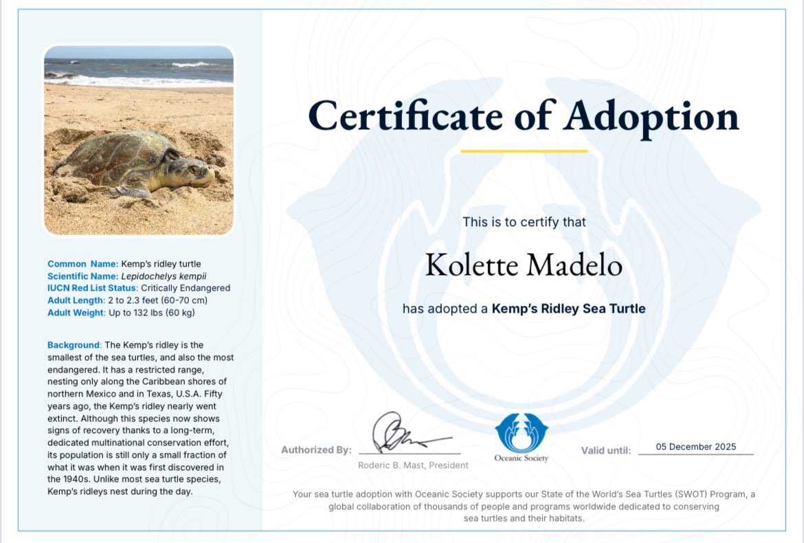 TeaU_OFC's tweet photo. One of TeaU’s special gifts to @kolettemadelo for her birthday is a donation to the Oceanic Society, which includes the adoption of an endangered sea turtle under her name. This gift was thoughtfully chosen because we wanted to give back to the environment while celebrating Kolette. 

Knowing her dream of pursuing Marine Biology, we believe this Sea Turtle Adoption will bring her joy and reflect her passion for marine life and conservation.