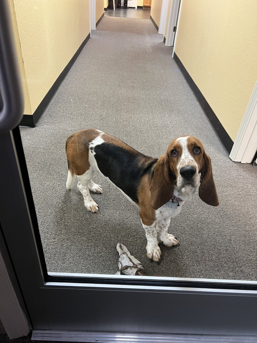 JulieVols Sports Talk Show Co-Host tweet media