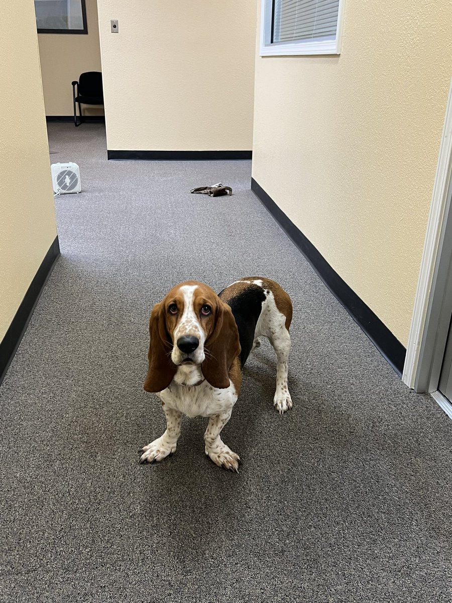 JulieVols Sports Talk Show Co-Host tweet media