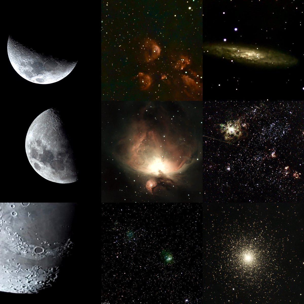 Dr Shane Huntington OAM tweet media