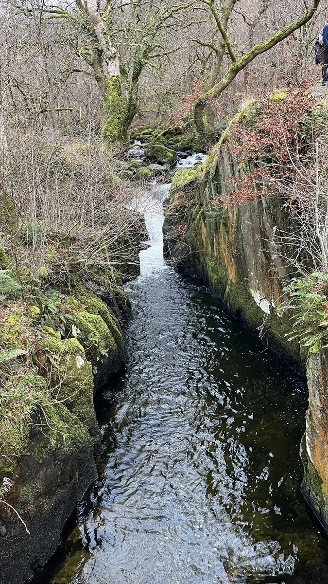 CascadeCumbria tweet media