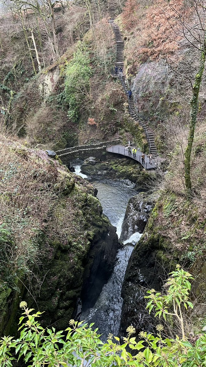 CascadeCumbria tweet media