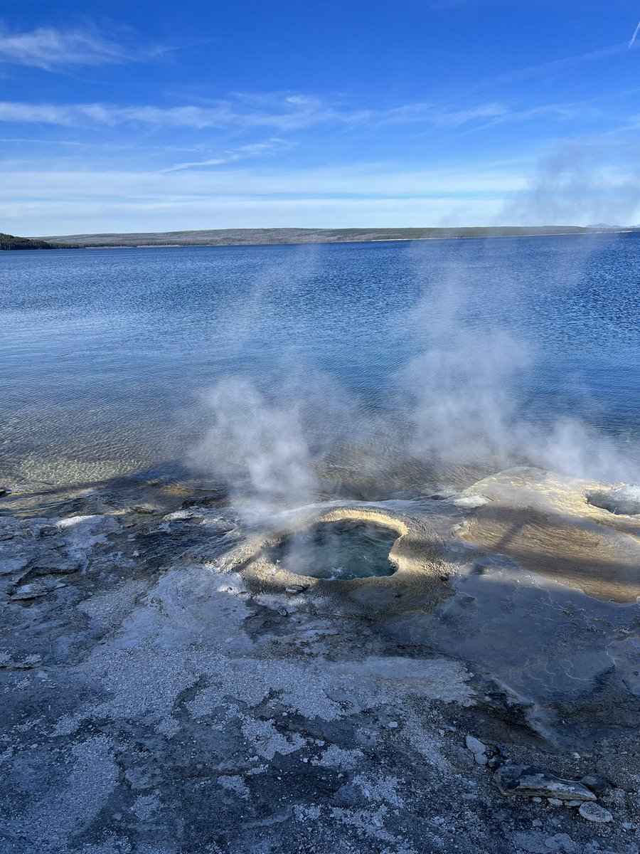 “Los que confían en el Señor renovarán sus fuerzas; levantarán el vuelo como las águilas, correrán y no se fatigarán, caminarán y no se cansarán.”
Isaías 40:31 NVI