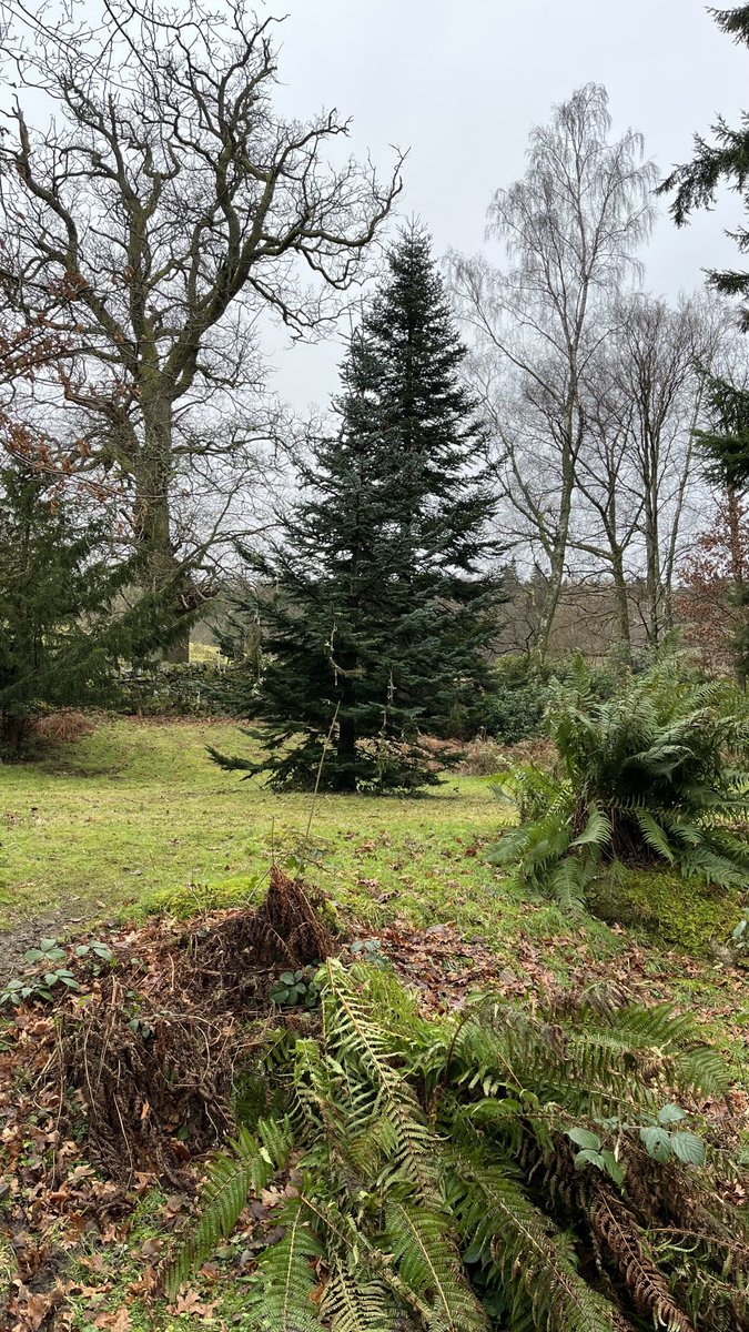 CascadeCumbria tweet media