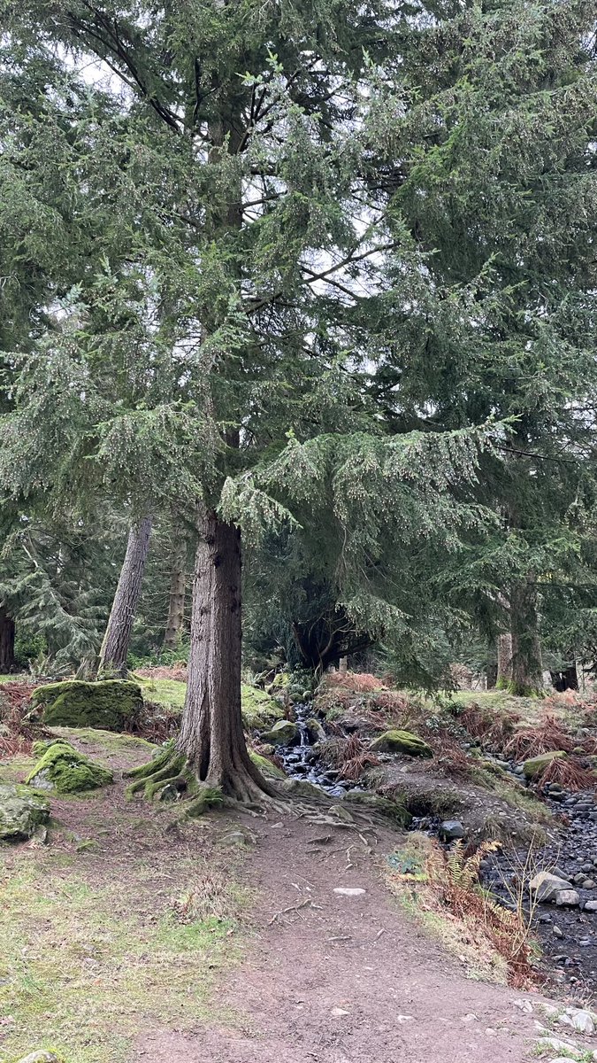 CascadeCumbria tweet media