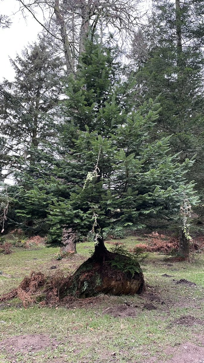 CascadeCumbria tweet media