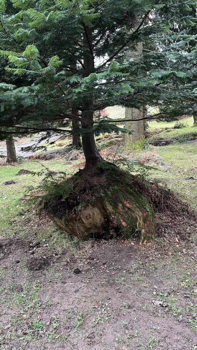 CascadeCumbria tweet media