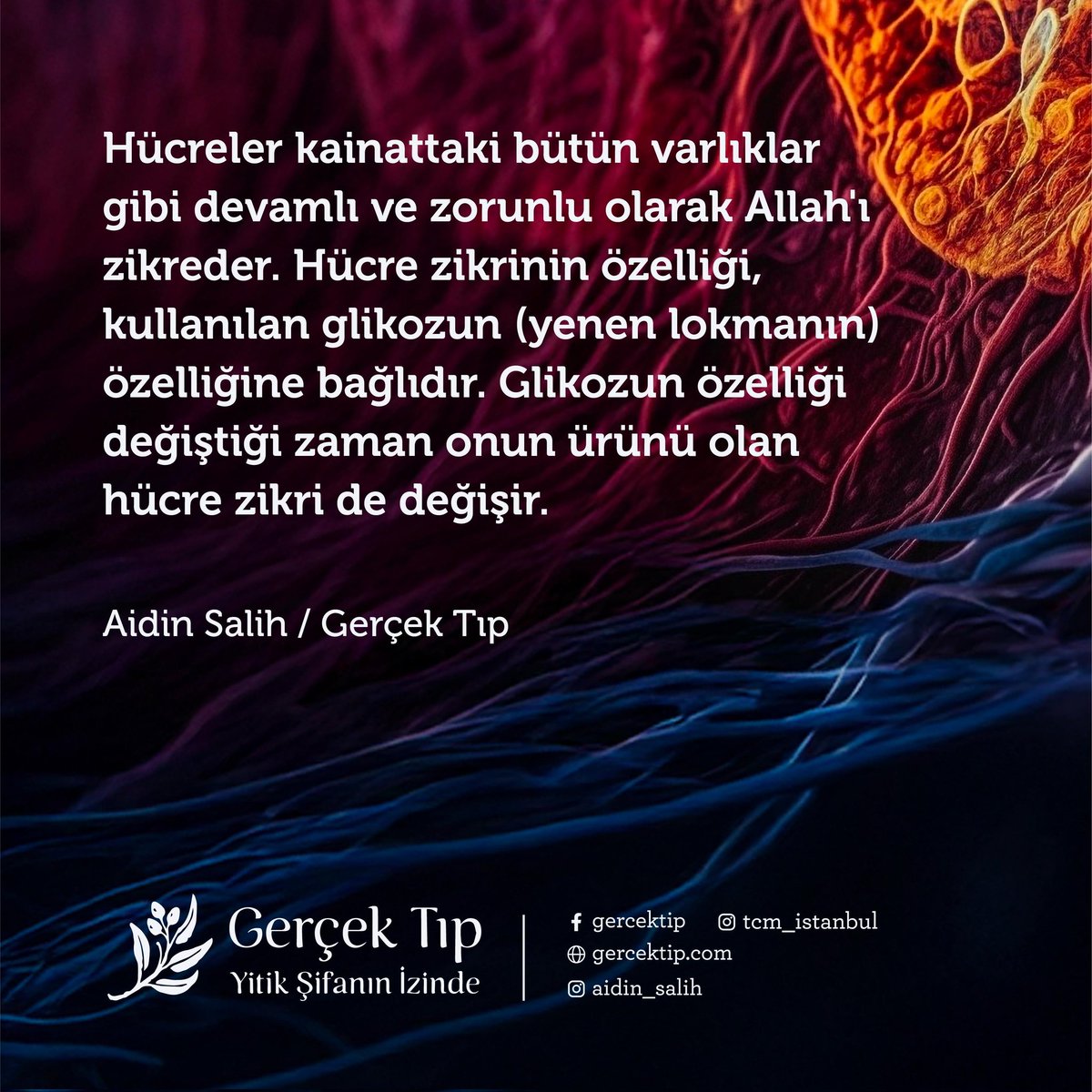 Tip 2 diyabet:
1.Şeker Dengesizliği: Yanlış beslenme alışkanlıkları → hazımsızlık → şeker dengesizliği.
2.İnsülin Direnci: Fazla insülin üretimi, yüksek kan şekeri, tatlı isteği.

Glikoz bozulursa hücre işlevi de bozulur.
Aidin Salih / Gerçek Tıp