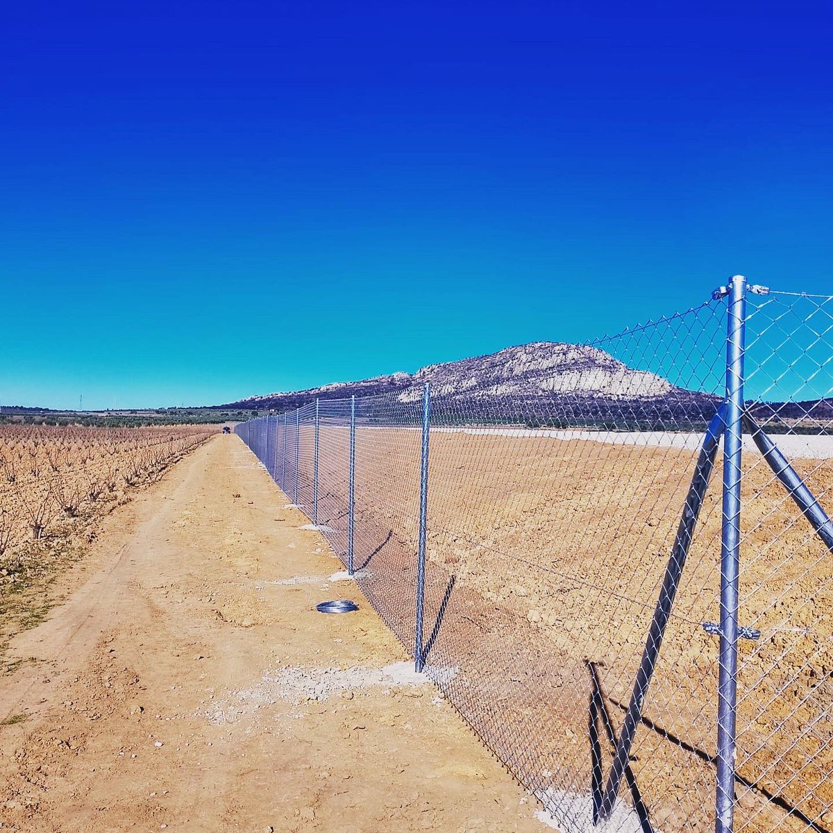 AlambradasR's tweet photo. 👉⚒Uno de los últimos proyectos que estamos rematando en este 2024 es este cerramiento de simple torsión de 2 metros de altura en 📍Torremejía para limitar y acondicionar una charca de purín. 
🙏Gracias al Consorcio Oleícola Extremeño por confiar en nosotros https://t.co/bCnAh9l9kp