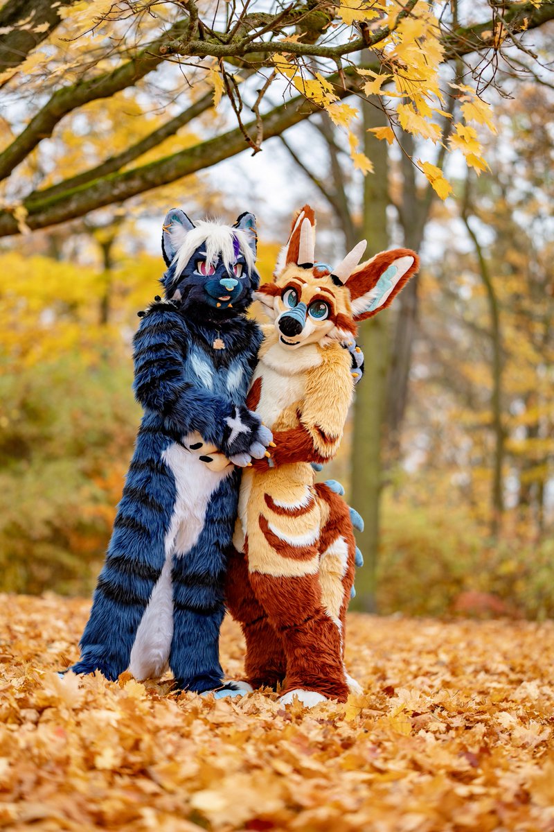 Hochenhain's tweet image. With these two i had my first Photoshoot and it was really fun. I wonder from whom i will take pictures next year, i bet it will be someone who is adorable fluffy.
#furry #FursuitFriday

Cool Cat: @fritzicato 
Fox-Dragon: @CoVahr_Fox