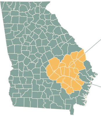 All the Biscuits in Georgia tweet media