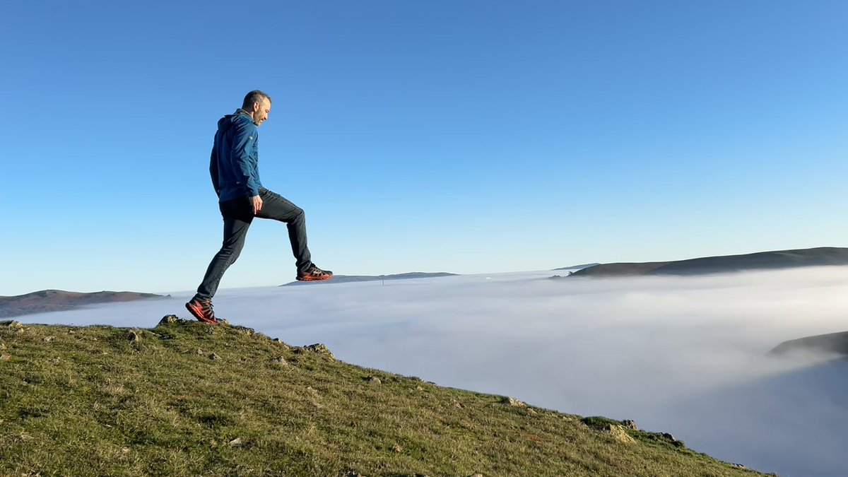 Corrinna tweet media