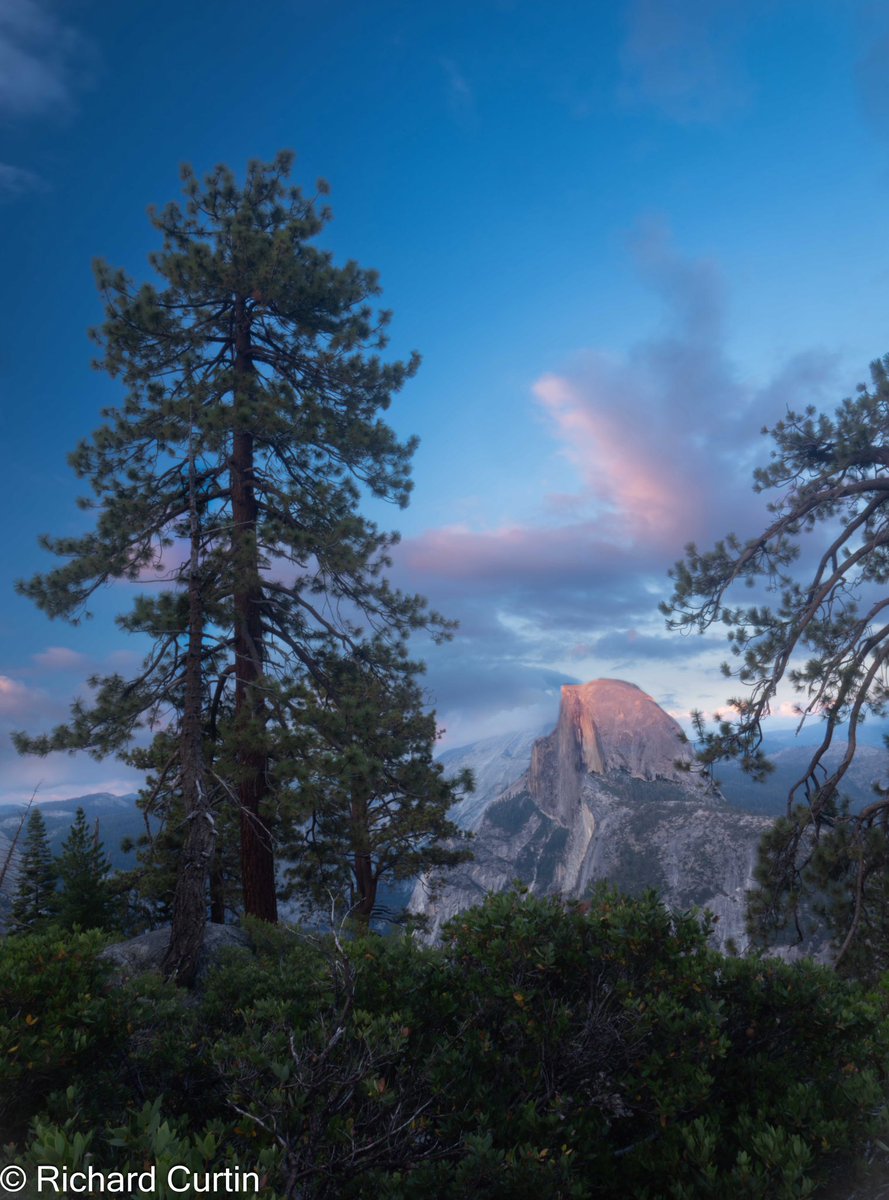 Homeless Garden Project tweet media