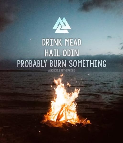 🇺🇸 Bjorn Videbæk🇩🇰 (@the_real_bjorn1) on Twitter photo 