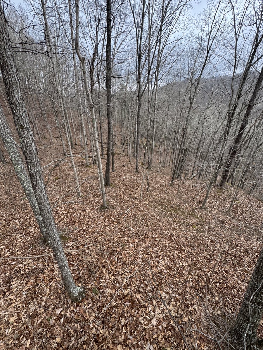 Todd Dobbins tweet media