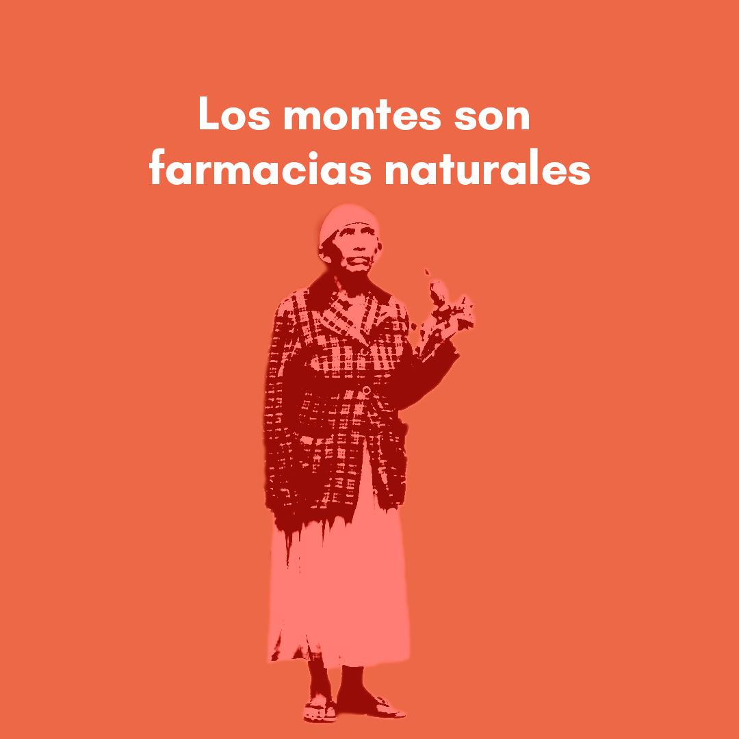 Grupo Sunu tweet media