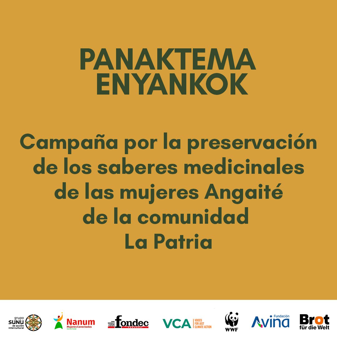 Grupo Sunu (@sunuorg) on Twitter photo Las mujeres angaite conocen las plantas medicinales y las utilizan. Este conocimiento nos conecta con la naturaleza y nos impulsa hacia la sostenibilidad y el reconocimiento cultural. 🙌
🔗 Conocé más: redcreadoresdigitales.com Las mujeres angaite conocen las plantas medicinales y las utilizan. Este conocimiento nos conecta con la naturaleza y nos impulsa hacia la sostenibilidad y el reconocimiento cultural. 🙌
🔗 Conocé más: redcreadoresdigitales.com