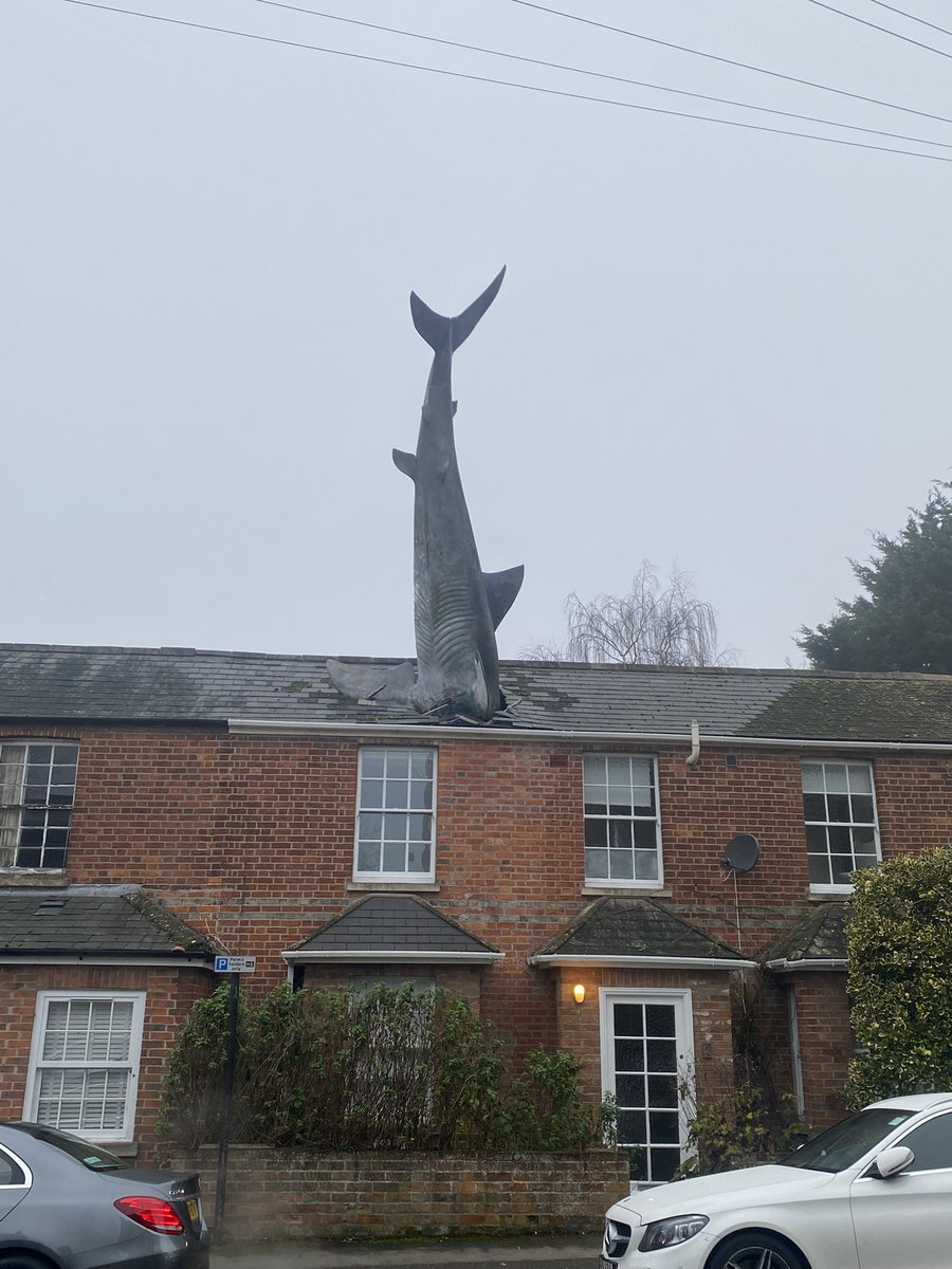Aftermath of a recent sharknado in Oxford